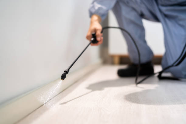 Licensed Cockroach Control service in Lake Forest, IL - Nex Pest Control