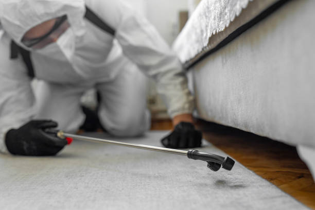 Professional Cockroach Control technician working in Lake Forest, IL