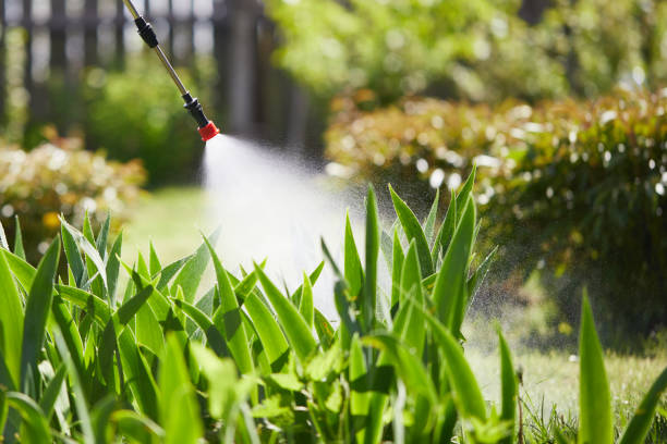 24/7 Emergency Cockroach Control experts in Lake Forest, IL