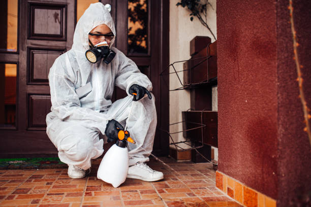 Reliable Cockroach Control contractor in Lake Forest, IL by Nex Pest Control